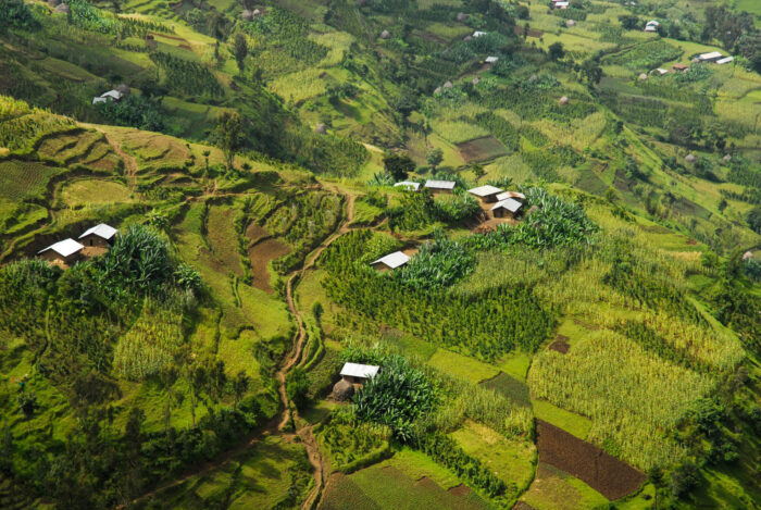 Ethiopia Yirgacheffe G2 Gabana Washed - Görsel 3