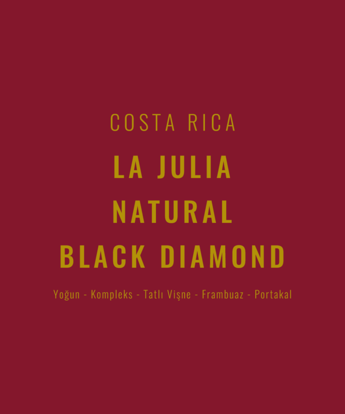 Costa Rica - La Julia Natural Black Diamond