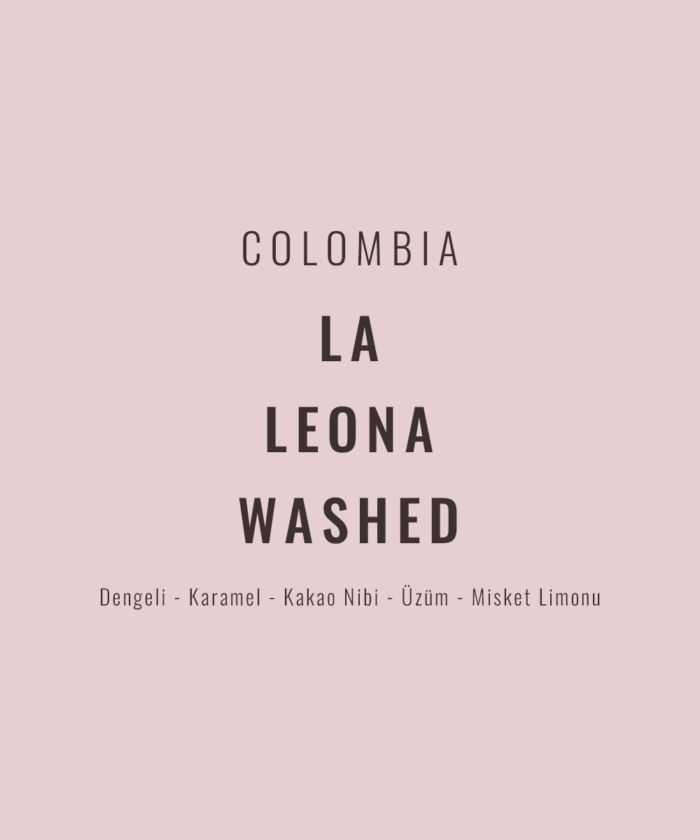Colombia - La Leona Washed
