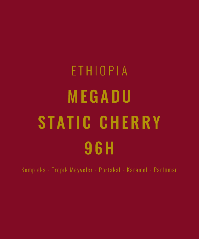 Ethiopia - Megadu Static Cherry 96H