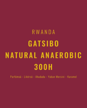 Rwanda - Gatsibo Natural Anaerobic 300H
