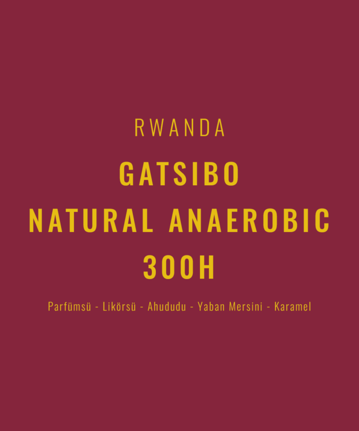 Rwanda - Gatsibo Natural Anaerobic 300H