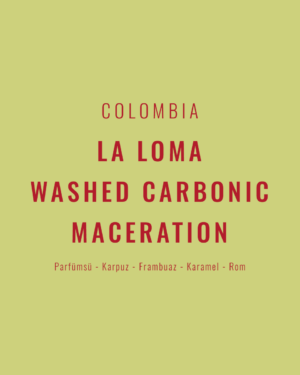 Colombia - La Loma Washed Carbonic Maceration