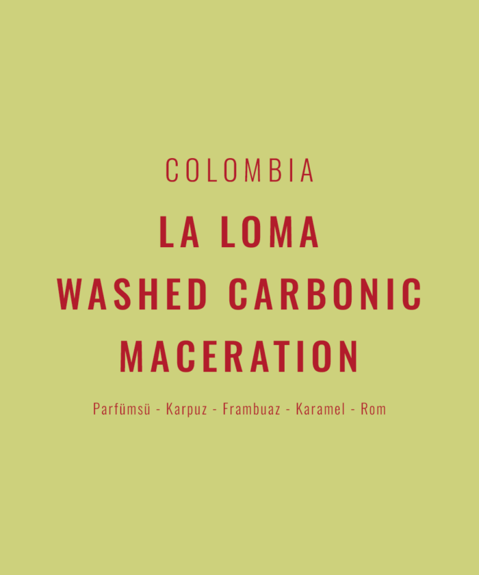 Colombia - La Loma Washed Carbonic Maceration