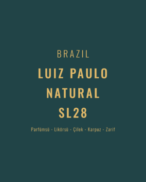 Brazil - Luiz Paulo SL28 Natural