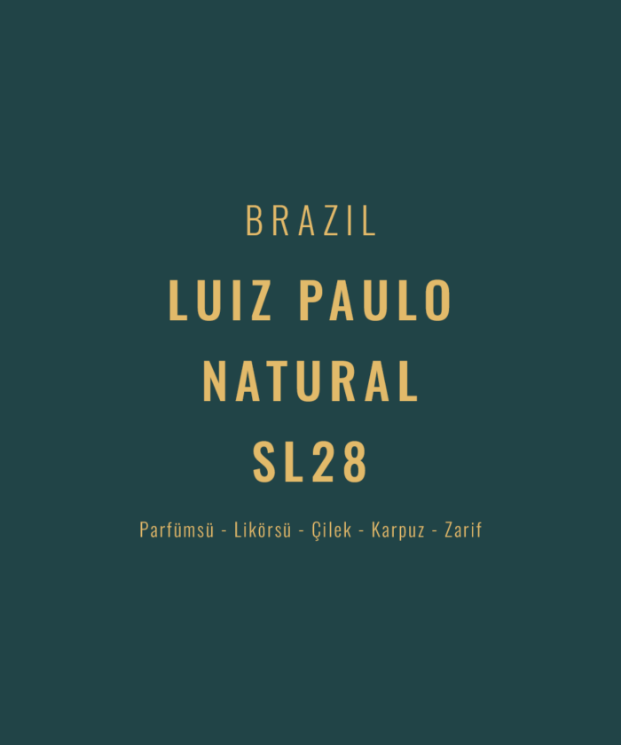 Brazil - Luiz Paulo SL28 Natural