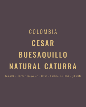 Colombia - Cesar Buesaquillo Natural Caturra