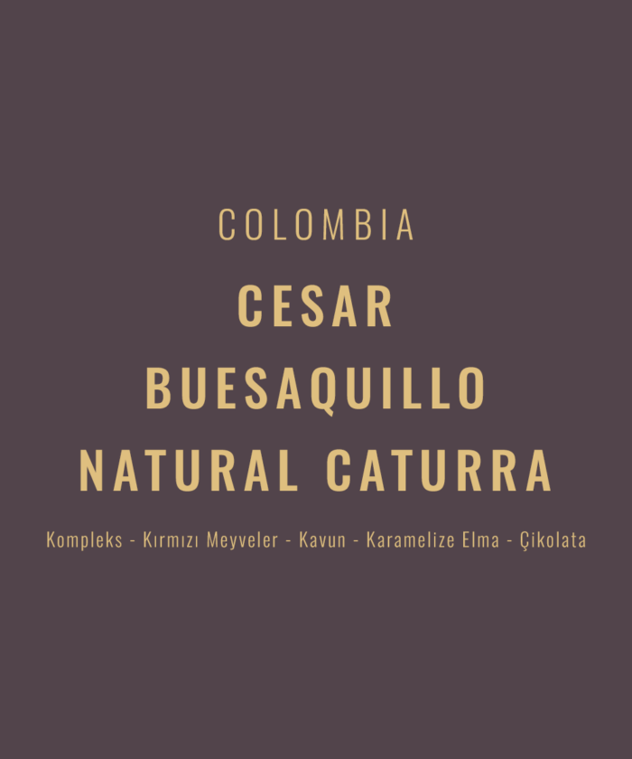 Colombia - Cesar Buesaquillo Natural Caturra