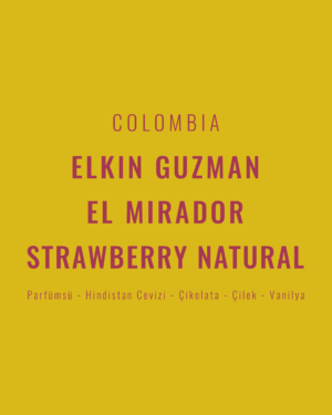 Colombia - Elkin Guzman Strawberry Natural