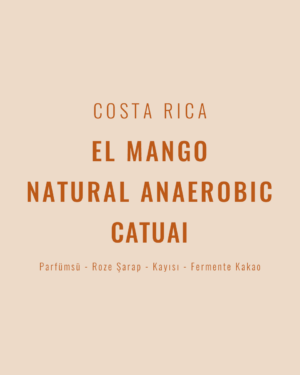 Costa Rica - El Mango Natural Anaerobic