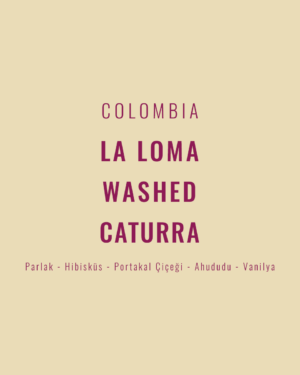 Colombia - La Loma Washed Caturra