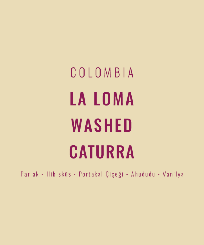 Colombia - La Loma Washed Caturra