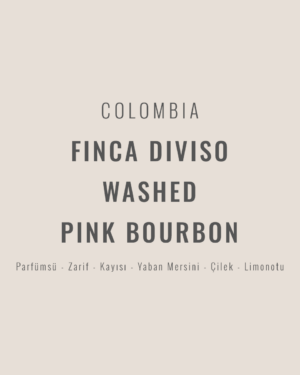 Colombia - Finca Diviso Washed Pink Bourbon