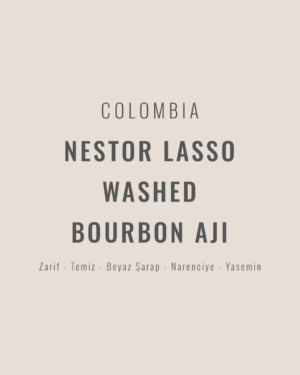 Colombia - Nestor Lasso Washed Bourbon Aji