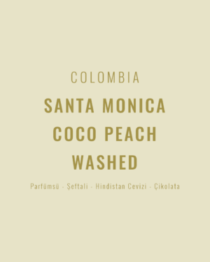 Colombia - Santa Monica Washed Coco Peach