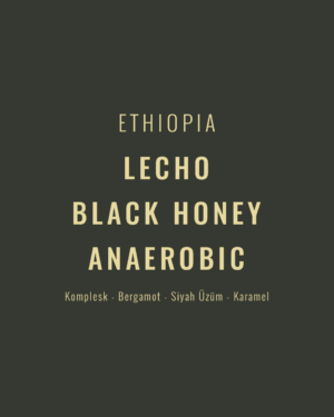 Ethiopia - Lecho Black Honey Anaerobic