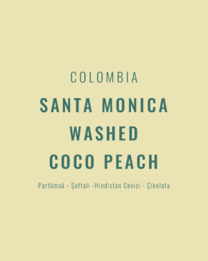 Colombia - Santa Monica Washed Coco Peach
