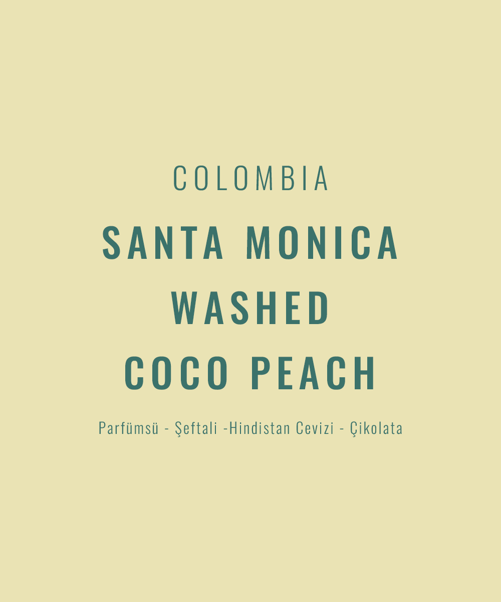 Colombia - Santa Monica Washed Coco Peach
