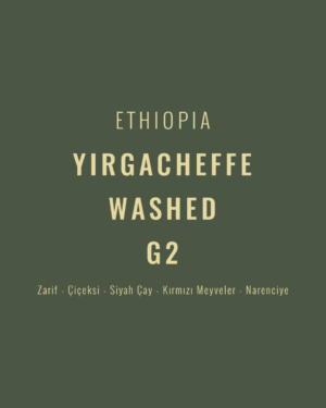 Ethiopia - Yirgacheffe Washed G2