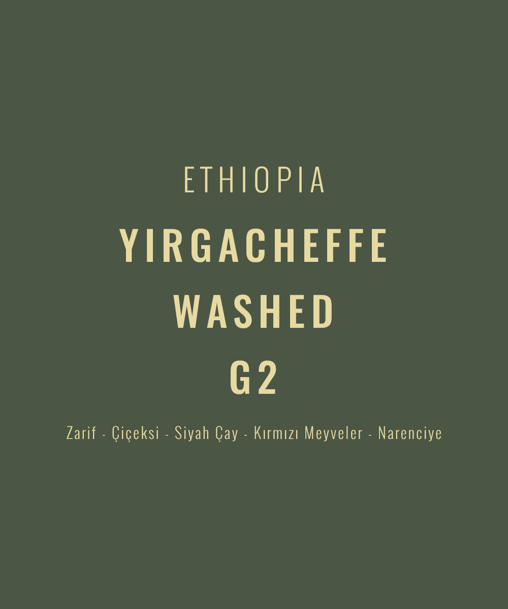 Ethiopia - Yirgacheffe Washed G2