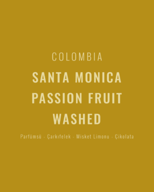 Colombia - Santa Monica Passion Fruit Washed