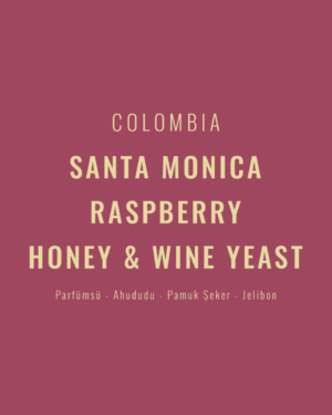 Colombia - Santa Monica Raspberry Honey&Wine Yeast