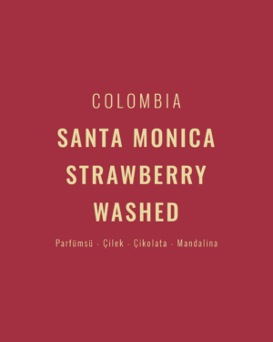 Colombia - Santa Monica Strawberry Washed