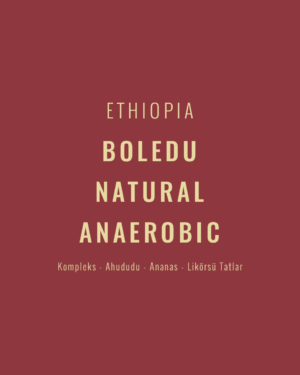 Ethiopia - Boledu Natural Anaerobic