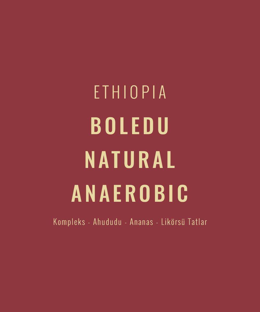 Ethiopia - Boledu Natural Anaerobic
