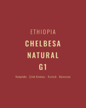 Ethiopia - Chelbesa Natural G1