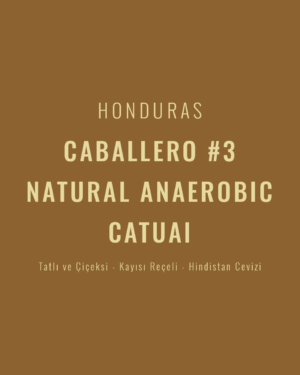 Honduras - Caballero #3 Natural Anaerobic