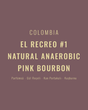 Colombia - El Recreo #1 Natural Anaerobic