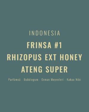 Indonesia - Frinsa #1 Rhizopus Ext Honey